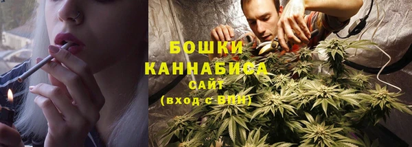 индика Покров